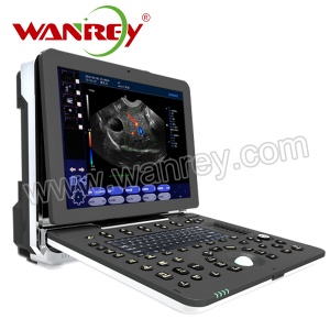 4D Color Veterinary Ultrasound Scanner